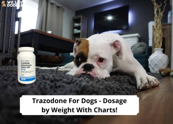 Trazodone For Dogs Dosage Chart