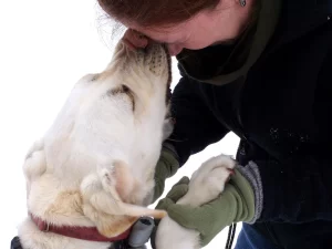 History of Dogs Detecting Cancer in Humans