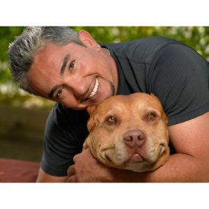 what happened to the dog whisperer tv show