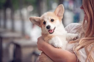 The Harm of Salt in Slime to your Dog