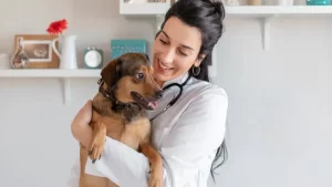 What If I Miss Giving My Dog Levetiracetam