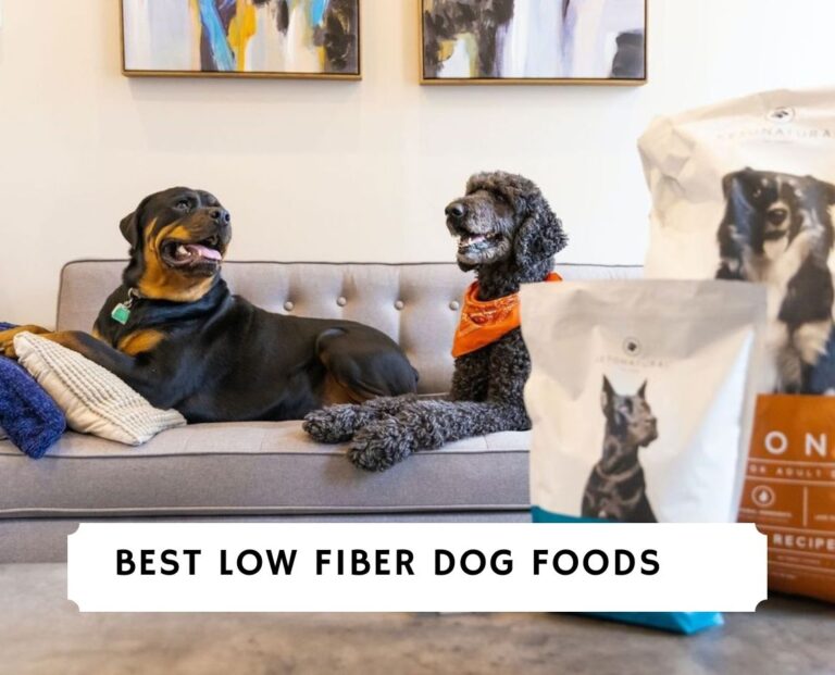 Best 6 Low Fiber Dog Foods in 2023