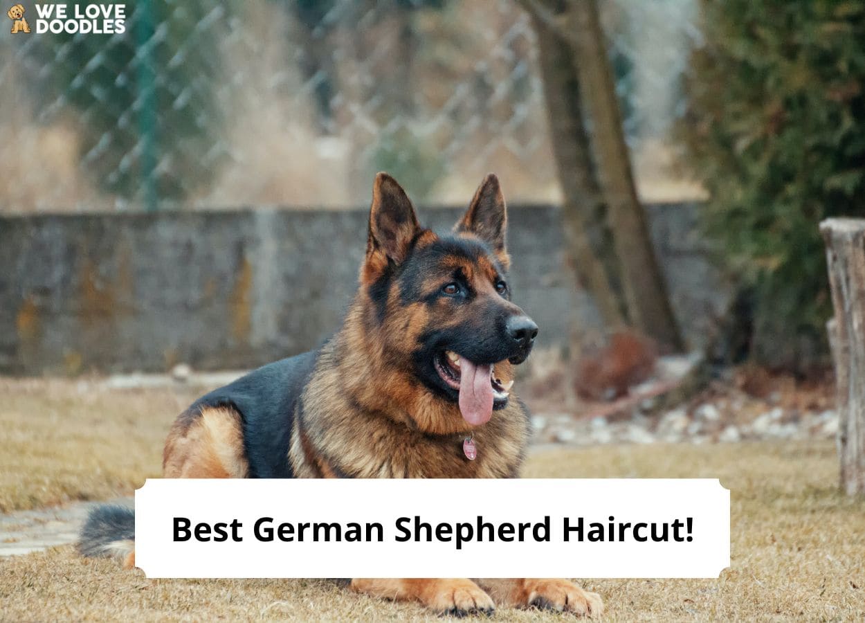 Portachiavi Per Amanti Del Pastore Tedesco 'Best German Shepherd Mum' - Regalo Divertente Per Donne Proprietarie Di Cani - Acciaio Inossidabile Con Sacchetto Di Velluto