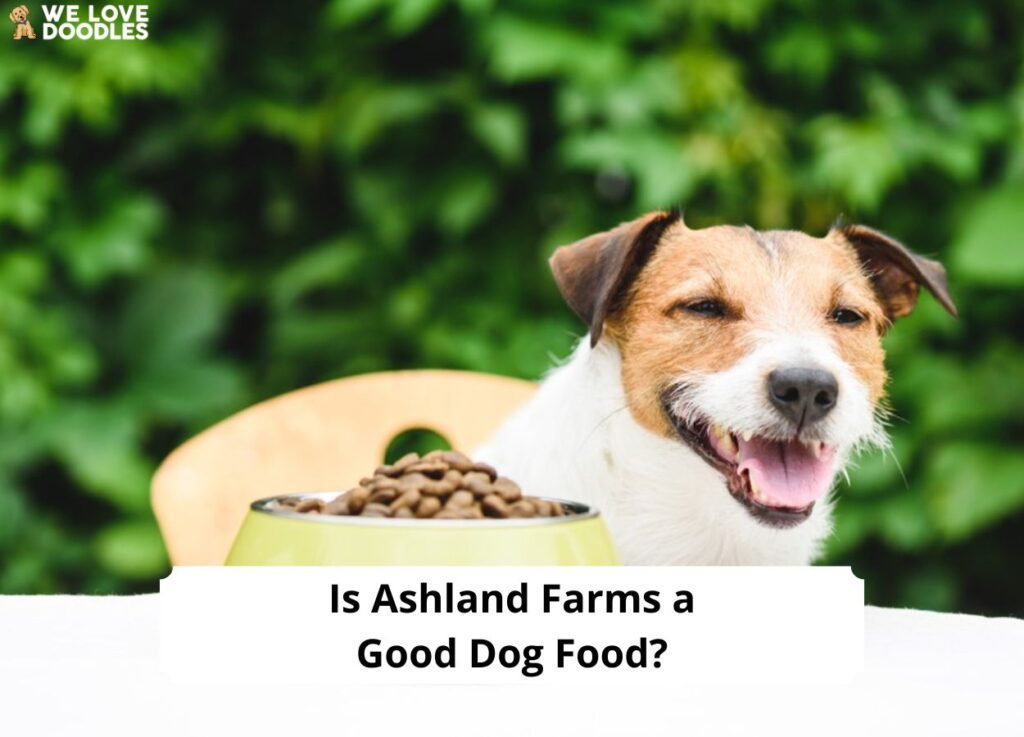 Ashland Farms Dog Food: A Comprehensive Guide to Nutrition, Health, and Sustainability