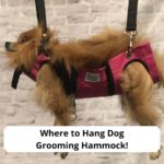 Where-to-Hang-Dog-Grooming-Hammock-template