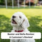 Baxter-and-Bella-Review-A-Customers-Review-template
