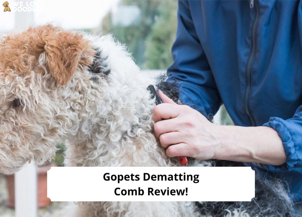 Gopets-Dematting-Comb-Review-template