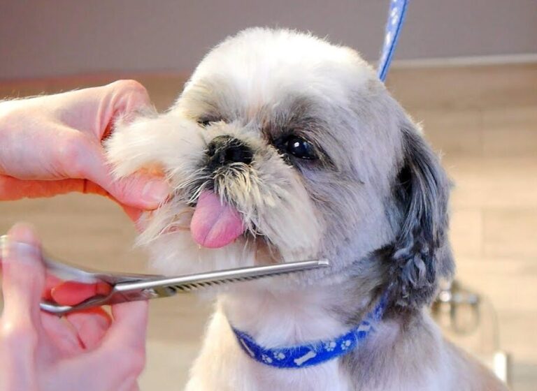 B/N Parents | Moving to Normal soon, my family joins when ... - Facebook