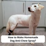 How-to-Make-Homemade-Dog-Anti-Chew-Spray-template