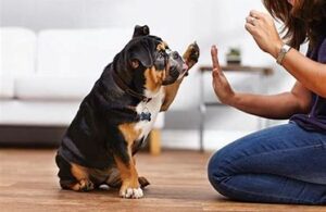 Poor Training Leading To Bad Habits