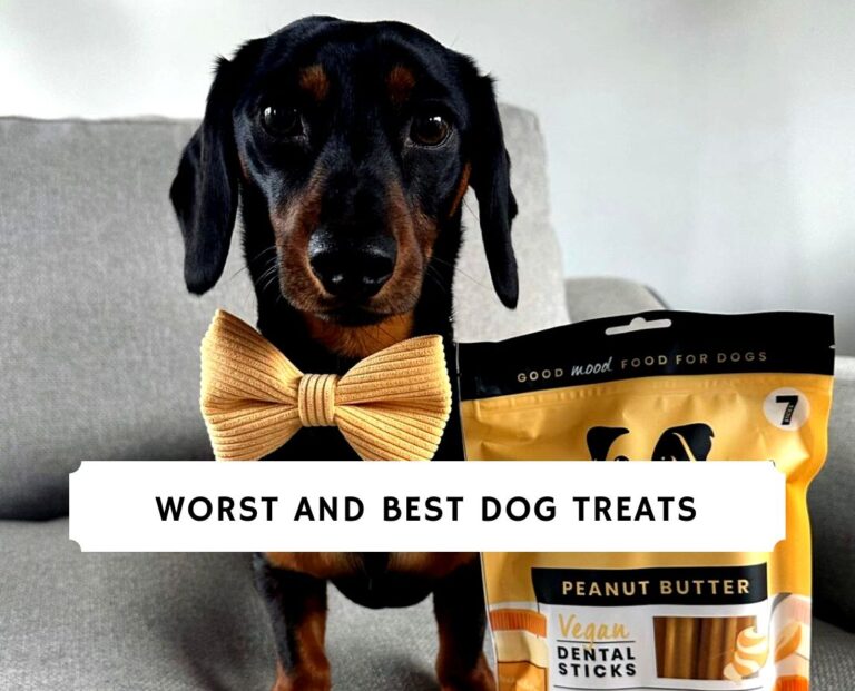 Worst and Best Dog Treats