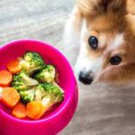 Can Dogs Eat Peas and Carrots