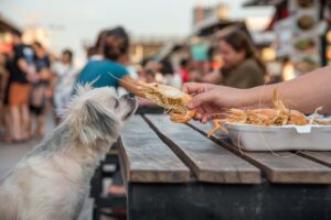 Signs of Shrimp Tail Ingestion to Look Out For