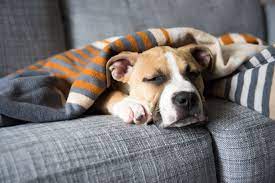 Sleep Regulation