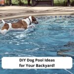 DIY-Dog-Pool-Ideas-for-Your-Backyard-template