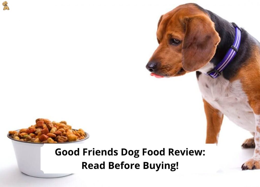 Good Friends Dog Food Review: Read Before Buying! (2023) - We Love Doodles