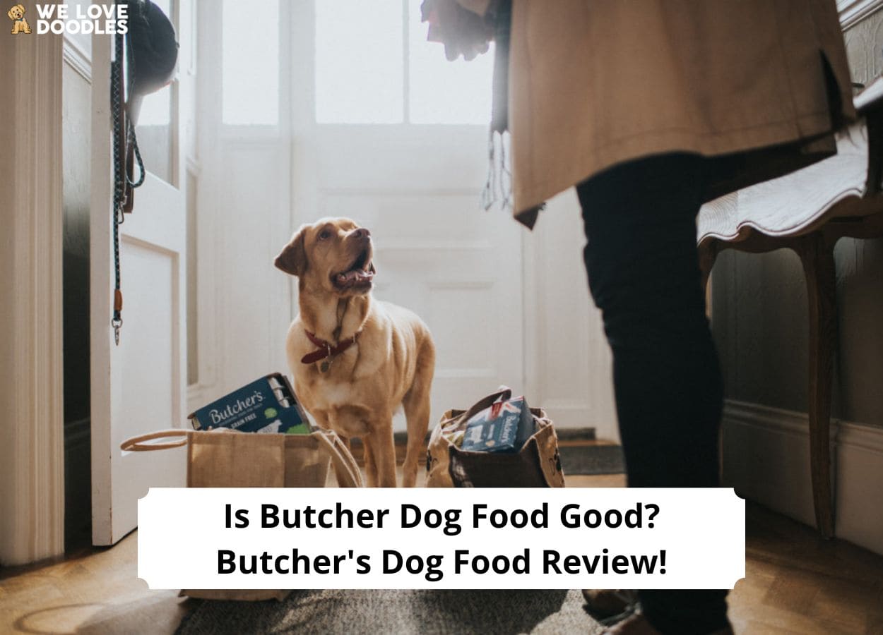 Butchers best clearance dog food review