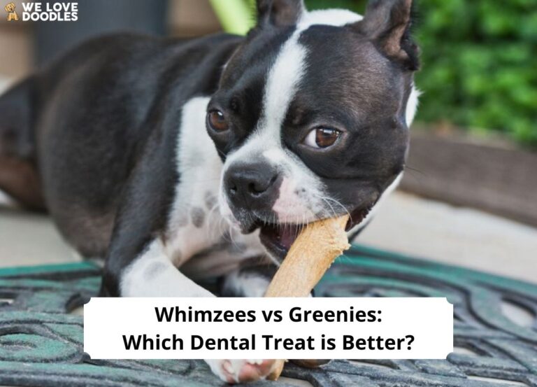 Whimzees-vs-Greenies-Which-Dental-Treat-is-Better-template