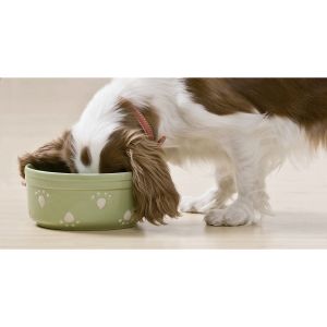 Skinners-Dog-Food-Recalls
