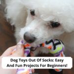 Dog-Toys-Out-Of-Socks-Easy-And-Fun-Projects-For-Beginners-template