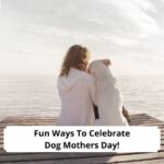 Fun-Ways-To-Celebrate-Dog-Mothers-Day-template