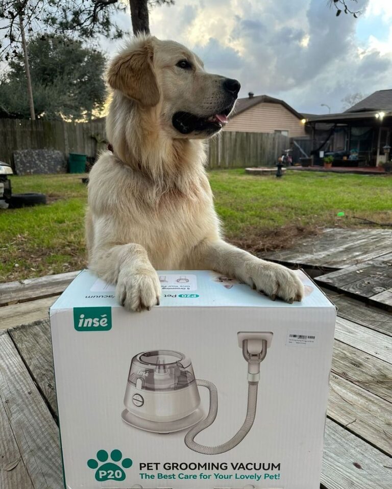 10 Best Electric Vacuums For Pet Hair of 2026 — Be A Cleaner