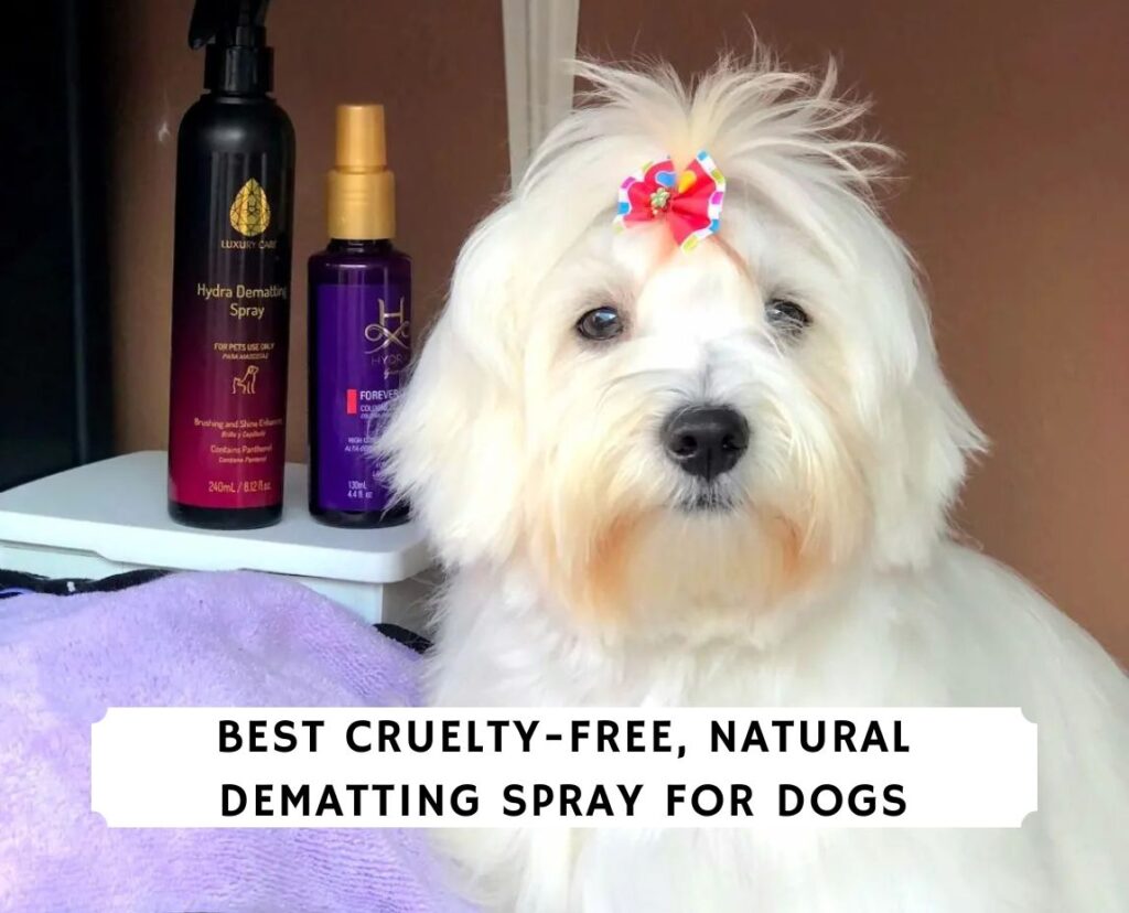 Best Cruelty-Free, Natural Dematting Spray for Dogs