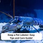 Keep-a-Pet-Lobsters-Easy-Tips-and-Care-Guide-template