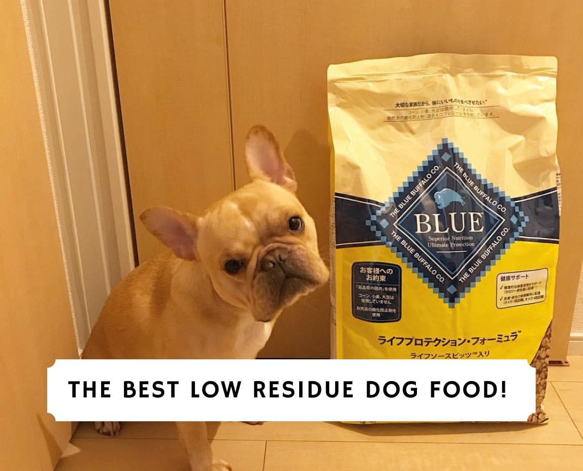 The 7 Best Low Residue Dog Food! (2024) We Love Doodles