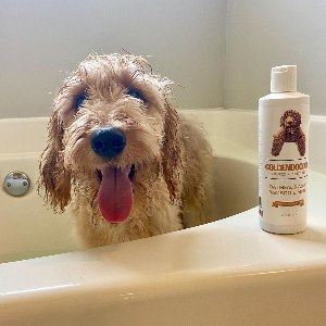 Best conditioner for clearance goldendoodles