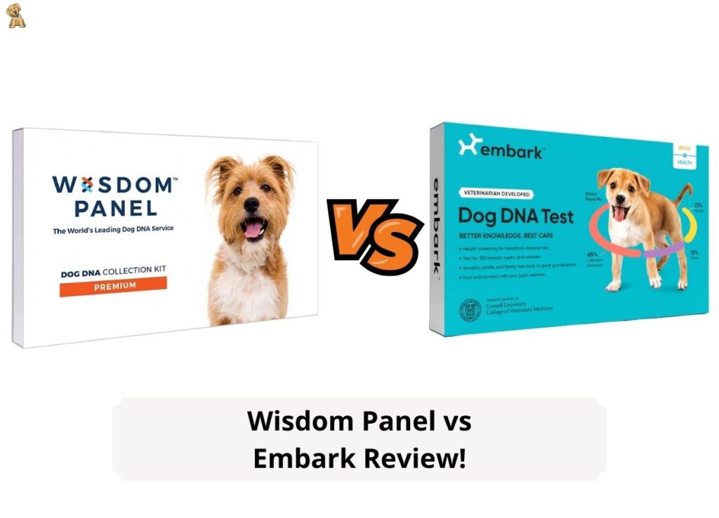 Wisdom Panel vs Embark Review InDepth Analysis! (2023) We Love Doodles