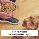 How-To-Prepare-Ground-Beef-For-Dogs-template
