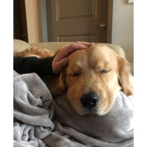 Frequently-Asked-Questions