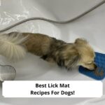 Best Lick Mat Recipes For Dogs-template