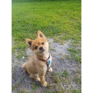 Frequently-Asked-Questions