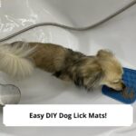 Easy DIY Dog Lick Mats-template