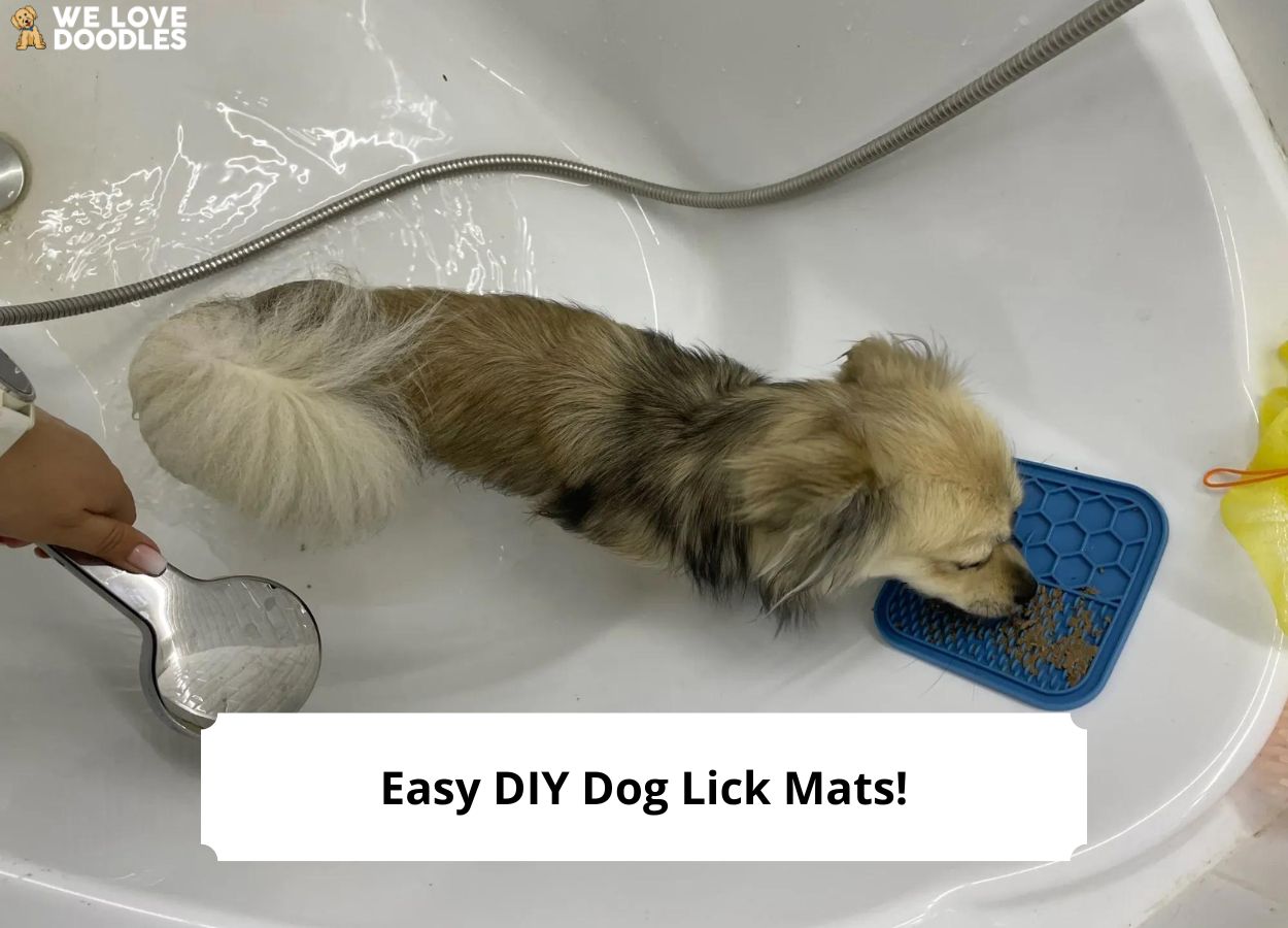 Easy DIY Dog Lick Mats!