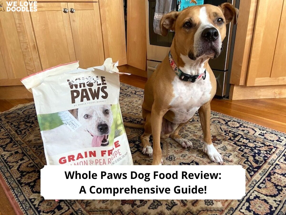 Whole paws dry dog 2024 food