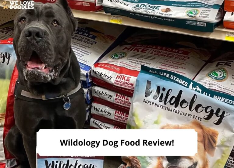 Reviewdog Wildology Dog Food Review: A Comprehensive Guide! - We Love Doodles