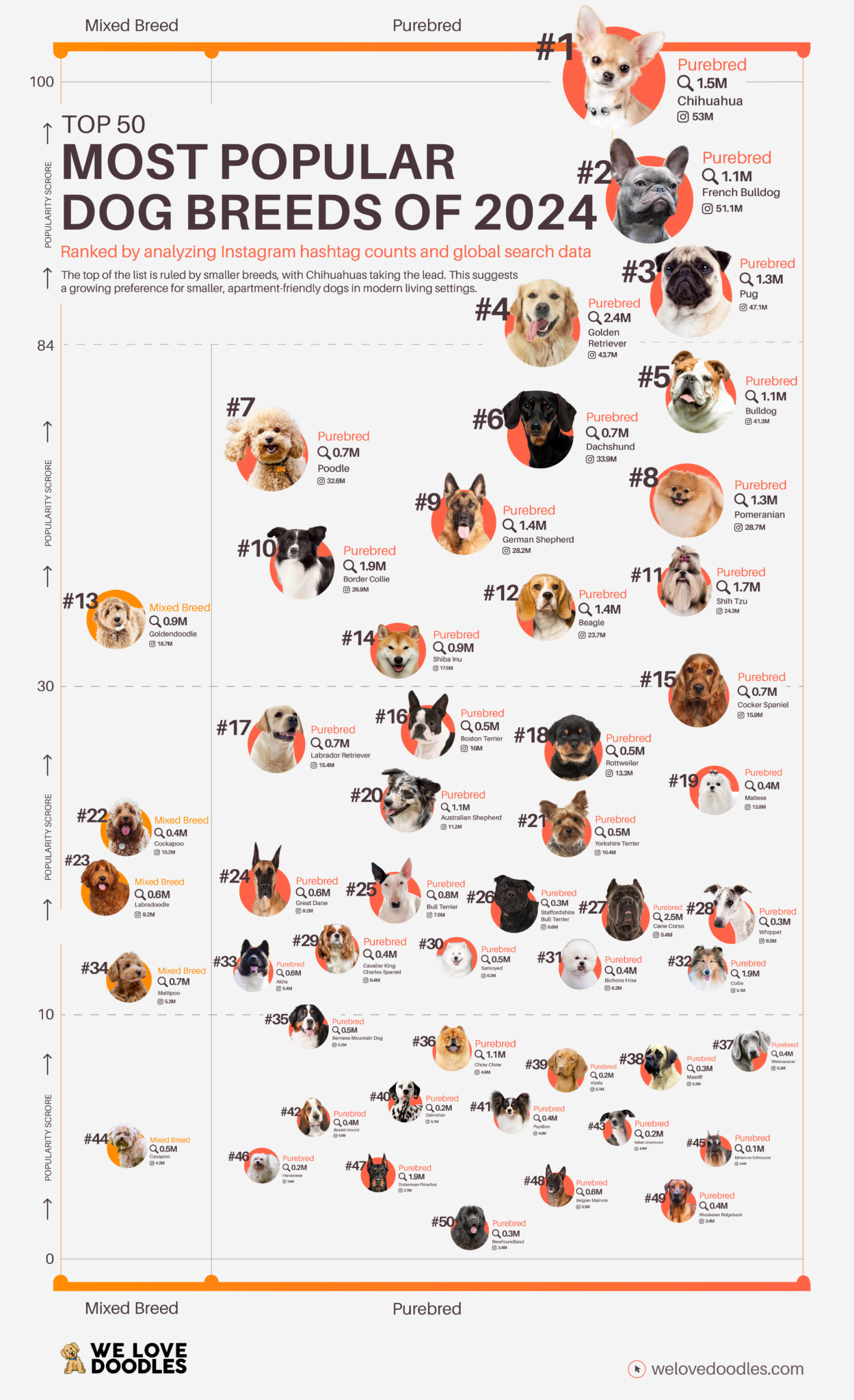 New Study: The 50 Most Popular Dog Breeds of 2024 - We Love Doodles